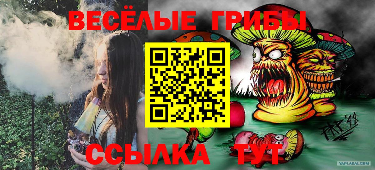 Галлюциногенные грибы Cubensis Георгиевск